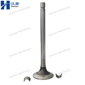 Cummins Intake Valve Kit 3052820 3803518 for Engine K19 K38 K50 Series