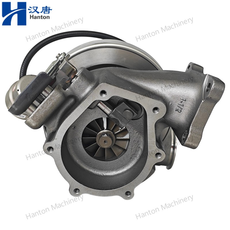 5457193 800X800 watermark -010