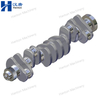 Cummins 3905619 3907804 3929037 Crankshaft for Engine B5.9 Series