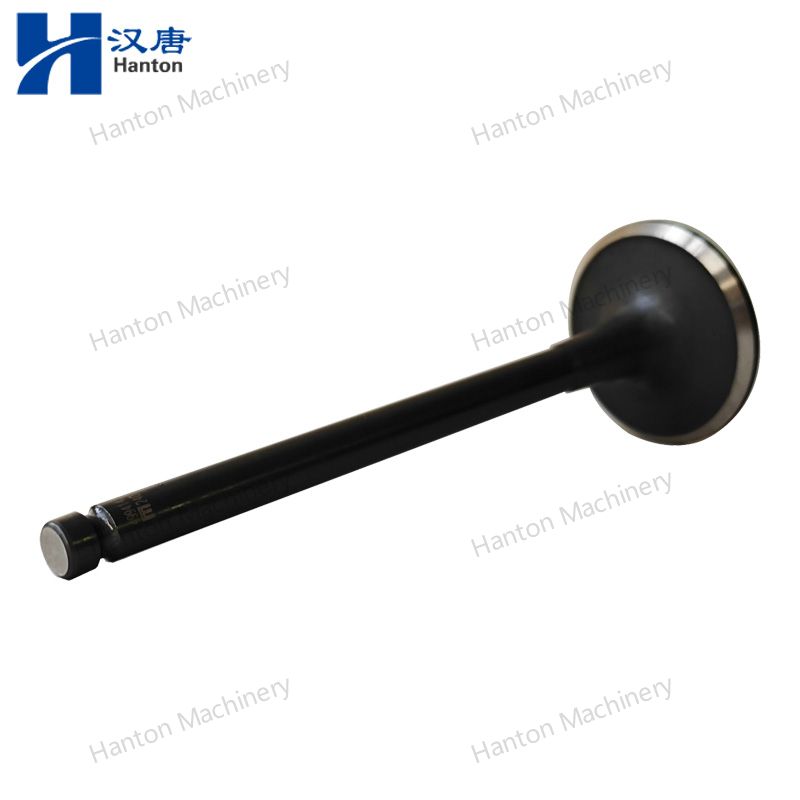 Cummins Exhaust Valve 3920868 3901607 4994143 for Engine B3.9 B5.9 Series