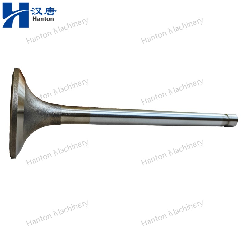 3803528 800X800 watermark -009