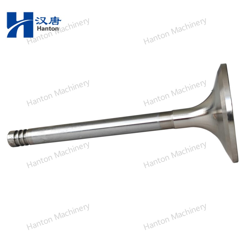 Weichai Intake Valve 12159606 for Engine WP6 Series