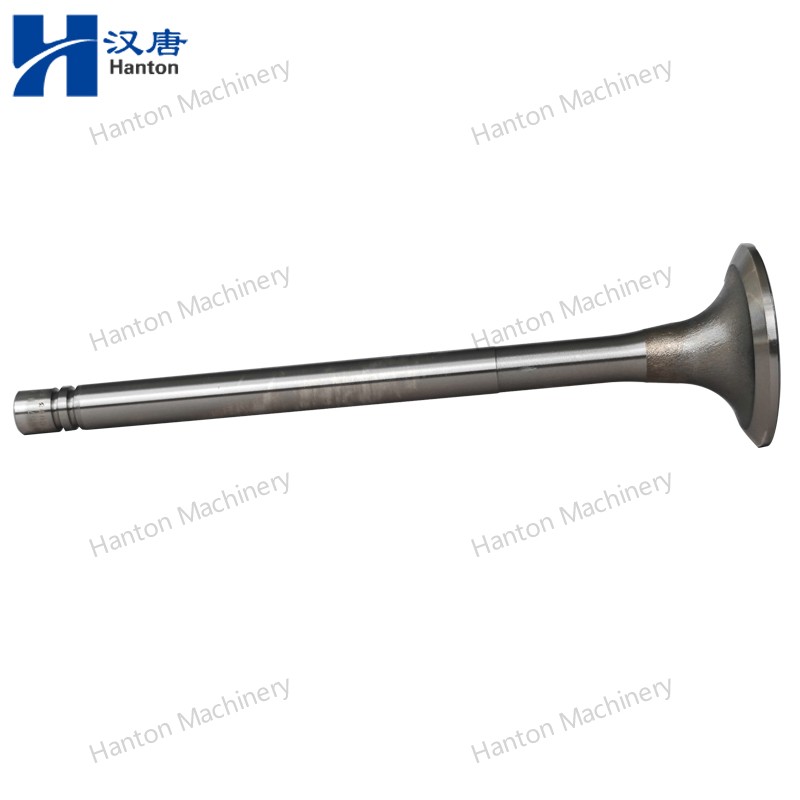 Cummins 135957 Intake Valve 3000926 4955698 for Engine N855 N14 NH220 Series