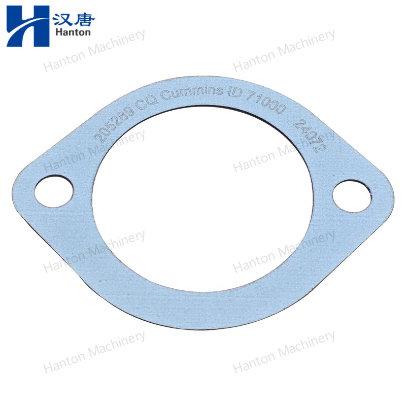 Cummins Water Drain Gasket 202289 for Engine K19 Series 