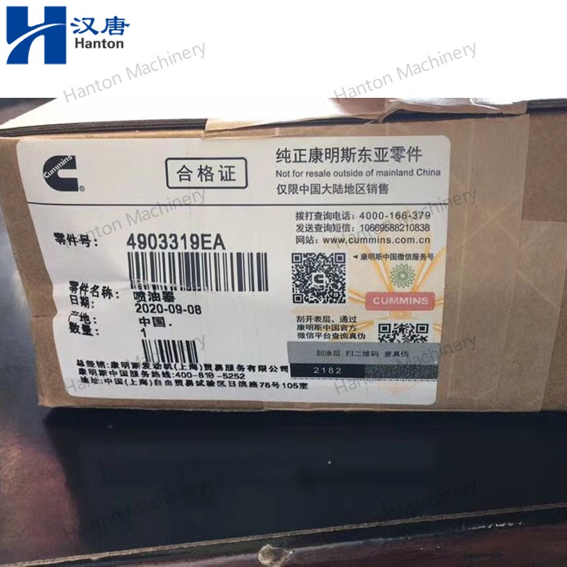 Cummins Fuel Injector 4903319 for Engine ISM QSM Series