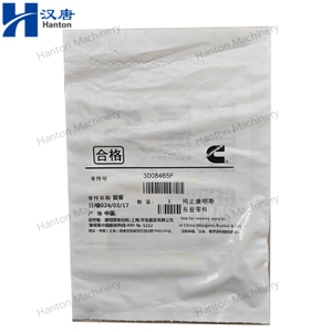 Cummins 3008465 3008468 4931643 Pipe Plug for Engine B6.7 C8.3 L8.9 N855 Series