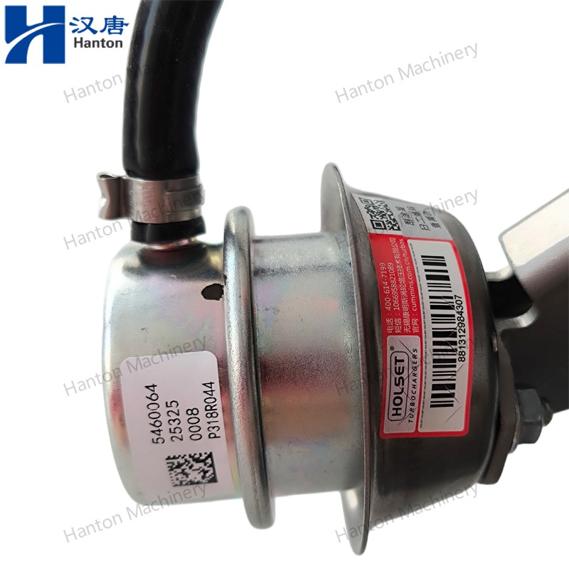 5327805 800X800 watermark -019