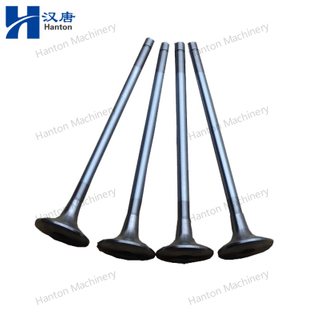 Cummins 3417778 4926069 Intake Valve for Engine ISM QSM Series