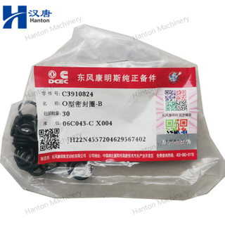 Cummins 3910824 Seal O Ring for Engine C8.3 6CTA Series