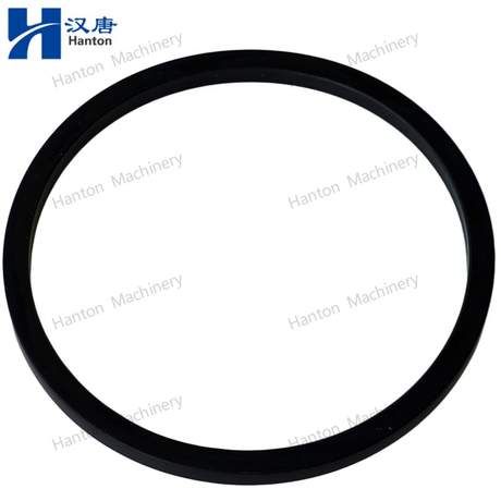 Cummins 3906698 Rectangular Ring Seal for Engine ISB QSB Series
