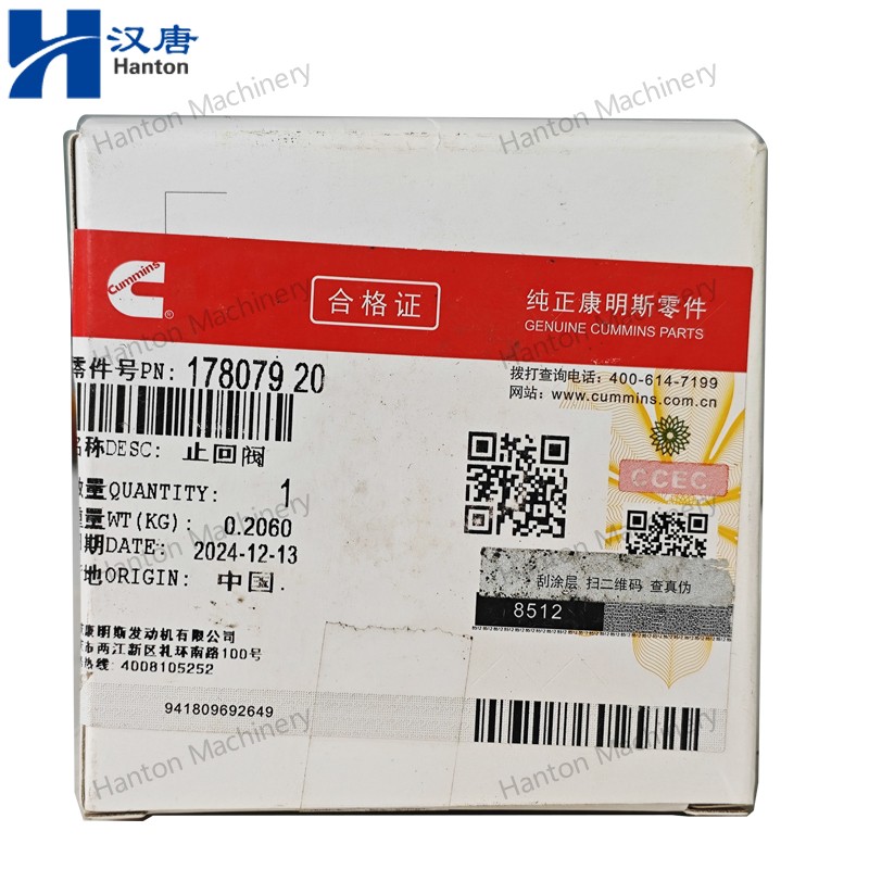Cummins Check Valve 212255 178079 for Engine K19 K38 K50 Series