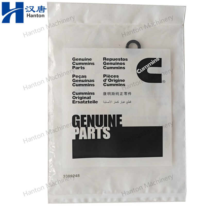 Cummins 5272819 Rectangular Seal Ring for Engine C8.3 L8.9 Series