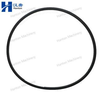Cummins Cylinder Liner Seal O Ring 207524 3011076 for Engine K19 K38 K50 Series