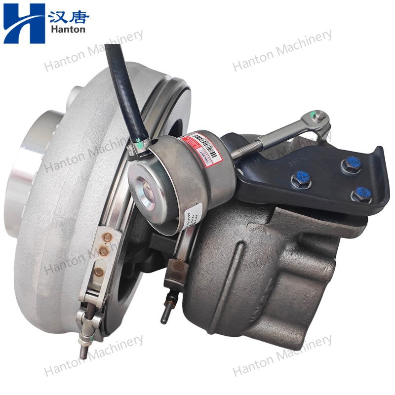 5457193 800X800 watermark -008