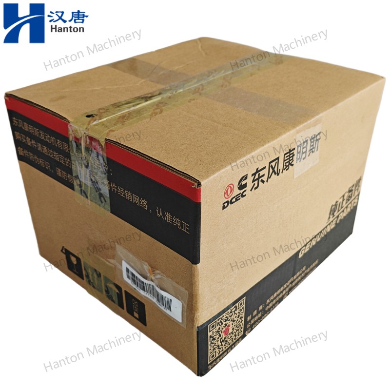 5273534 800X800 watermark -021