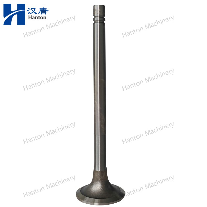 Cummins 135957 Intake Valve 3000926 4955698 for Engine N855 N14 NH220 Series